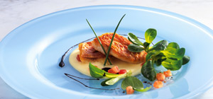 gourmet2 300x140