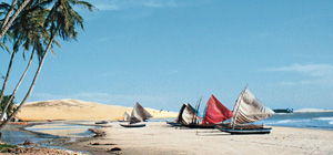 Teaser Transamazonas300x140
