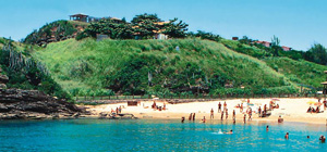 Teaser Transbrasilien300x140
