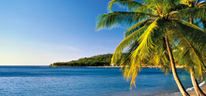 transkaribik300x140