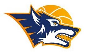 Rostock Seawolves Rostock Seawolves