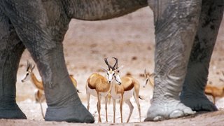 Südafrika & Namibia entdecken Südafrika & Namibia entdecken