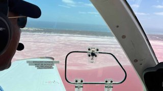 Pink Lake