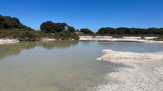 Zu Besuch auf Rottnest Island
