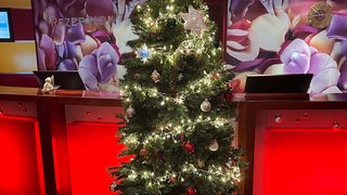 Weihnachtsstimmung an Bord
