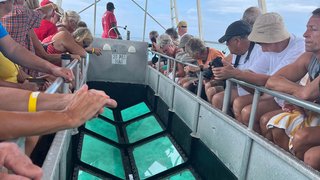 Glasbodenboot-Tour