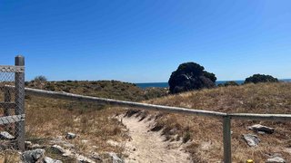 Zu Besuch auf Rottnest Island