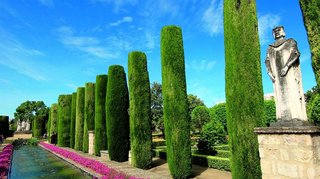 Park in Sevilla
