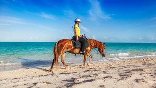 Frau auf Pferd am Strand Frau auf Pferd am Strand