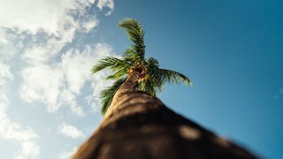 Das Sonnenziel am Indischen Ozean Das Sonnenziel am Indischen Ozean