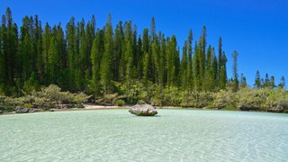 Ausflugs-Highlights auf Île des Pins