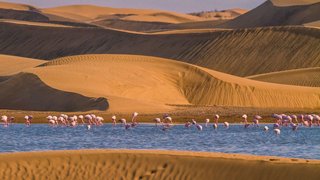 Ausflugs-Highlights in Walvis Bay