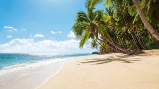 Sandstrand mit Palmen in der Karibik Ein feiner Sandstrand mit Palmen und türkisblauem Meer