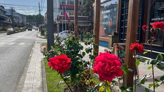 Stadtbummel durch Puerto Varas