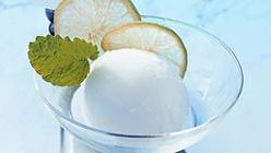 Weißes Sorbet angerichtet in einem Cocktail Glas