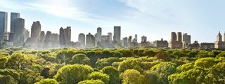 Blick über den Central Park auf die Skyline von New York