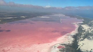 Pink Lake