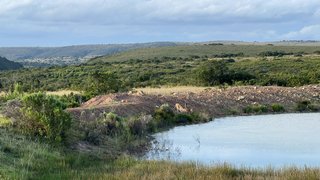 Kurze Erfrischung am Wasserloch
