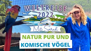 Weltreise-Vlog Nr. 14