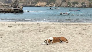 Am Strand von Tarrafal