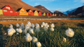Klassische Häuser auf Spitzbergen Klassische Häuser auf Spitzbergen