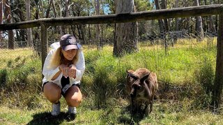 Guck mal – ein Känguru!