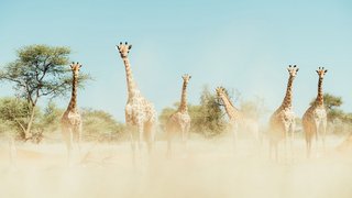 Südafrika & Namibia