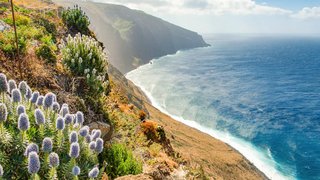 Ausflugs-Highlights auf Teneriffa