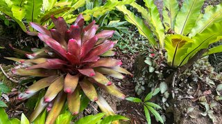 Natur pur