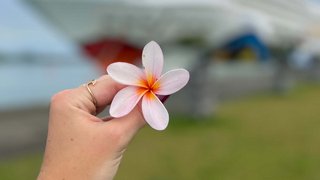 Willkommen auf Nouméa Willkommen auf Nouméa