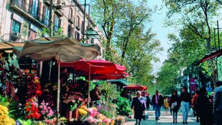 barcelona las ramblas flores barcelona las ramblas flores