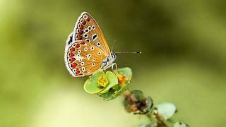 Mit AIDAselection die Kanaren entdecken Mit AIDAselection die Kanaren entdecken