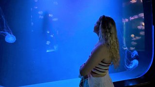 Aquarium im Loro Parque Aquarium im Loro Parque