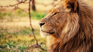 Südafrika & Namibia entdecken Südafrika & Namibia entdecken