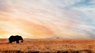 Außergewoehnliche Orte in Afrika entdecken