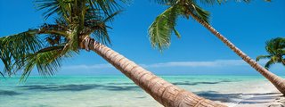 Palmen, blaues Meer und Sandstrand in der Karibik