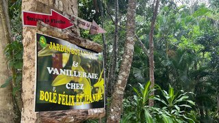 Ausflug zu den Vanilleplantagen Ausflug zu den Vanilleplantagen