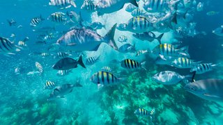 Klare Sache: Unsere Abwasserbereitung Klare Sache: Unsere Abwasserbereitung