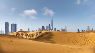 Dubai Dubai