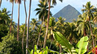Weihnachten im Paradies Weihnachten im Paradies