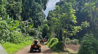 Quadtour durch Moorea