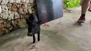 Meet locals