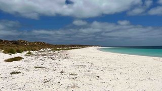 East Wallabi Island
