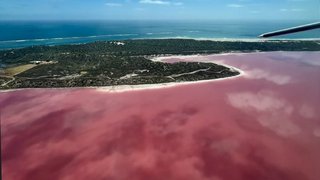 Pink Lake Pink Lake