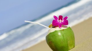 Karibischer Kokosnussdrink Karibischer Kokosnussdrink
