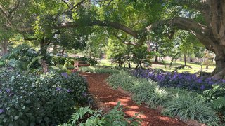 Botanischer Garten