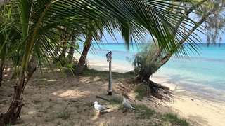 Nouméa