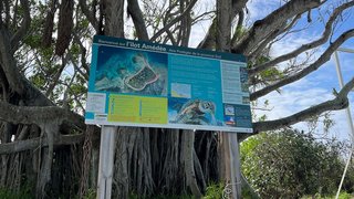 Nouméa