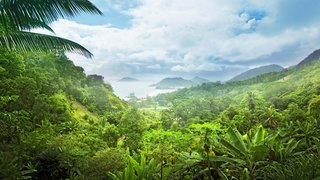 Perlen im Indischen Ozean entdecken Perlen im Indischen Ozean entdecken