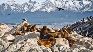 Patagonien entdecken